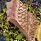 Best Madai (Red Snapper) in Arlington Heights, IL